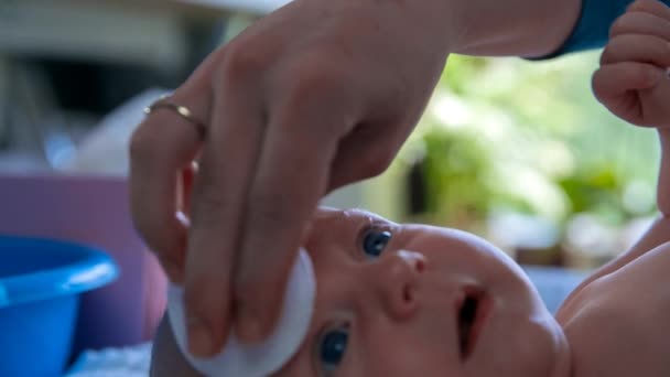 La cabeza del bebé se limpia con agua y algodón — Vídeos de Stock