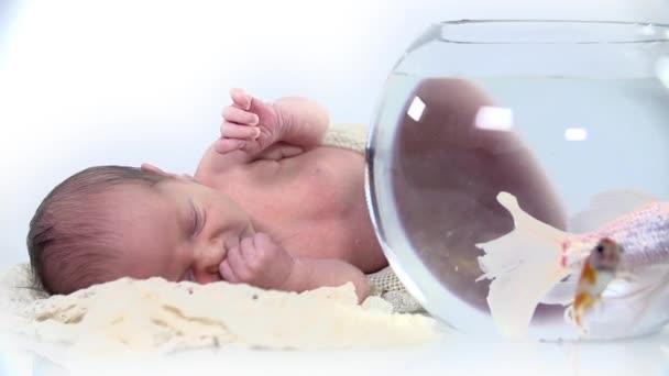 Baby lying next to fish bowl — Stock Video