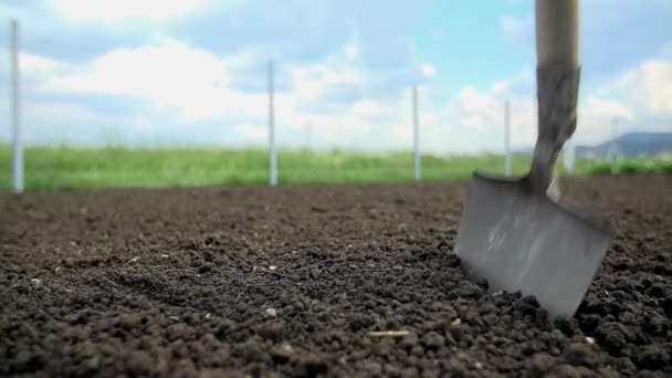 Gardener using  the shovel — Stock Video