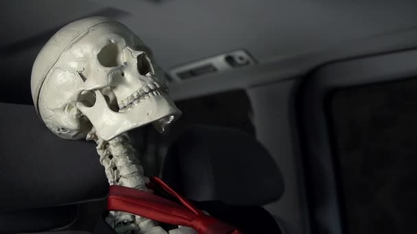 Boned skeleton in car driving — Stock Video