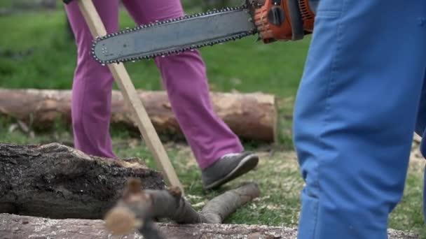 Ağır çekimde Chainsaw küçük dal — Stok video