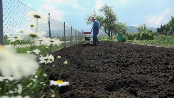 Gardener making his land ready — Stock Video