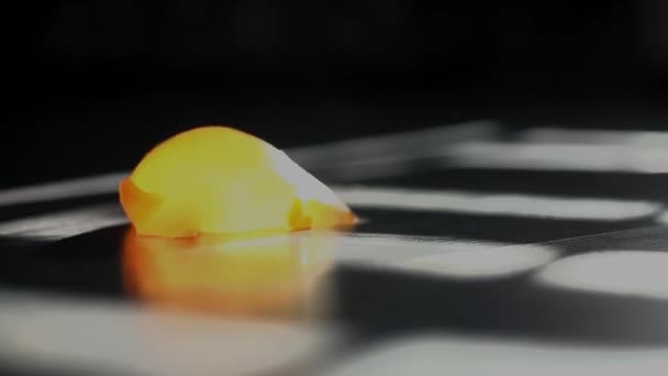 Gumový míček dopadající na podlahu — Stock video