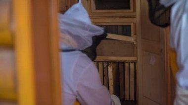 Arı lar üzerinde kontrol arılar kaleci