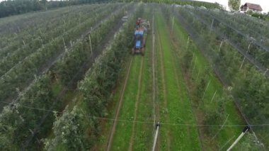 büyük elma alanında çalışan insan