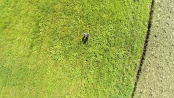 Paar Kinder laufen auf einer Wiese — Stockvideo