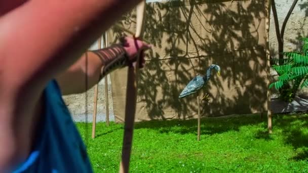 Disparo con un arco en animal artificial — Vídeo de stock