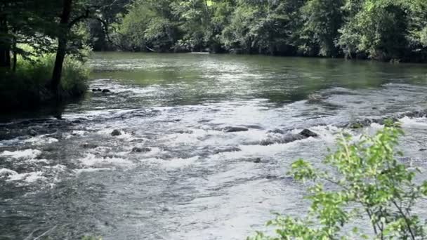Řeka v kaňonu ve Slovinsku — Stock video