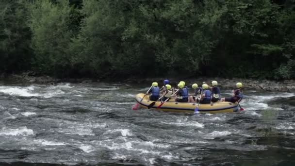 Equipe Rafting evitar rochas — Vídeo de Stock