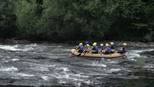 Rafting-Team meidet Felsen — Stockvideo