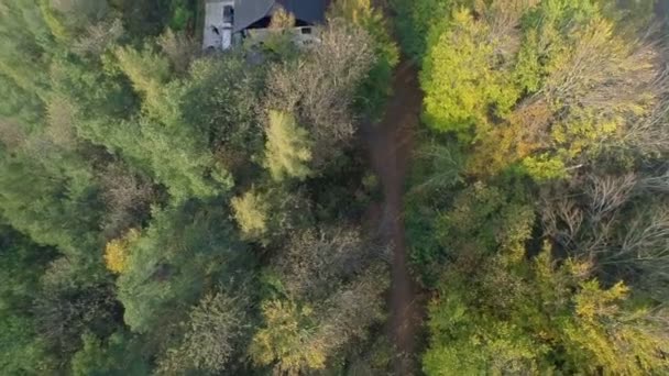 Maison au milieu de la forêt — Video