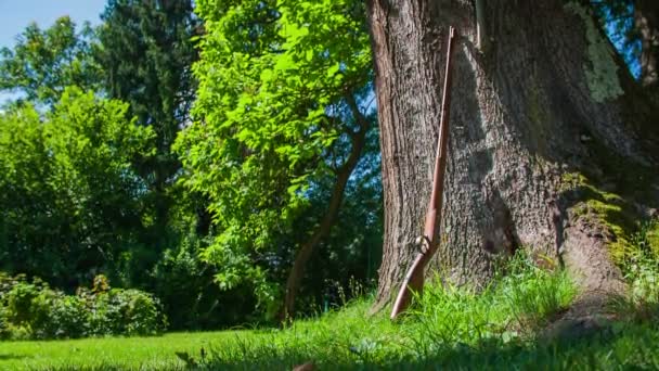 Rifle vintage apoyado en un árbol — Vídeos de Stock