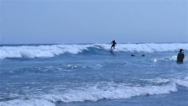 Surfistas em grande mar ondulado — Vídeo de Stock