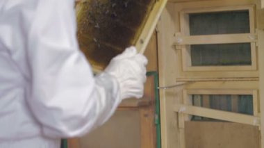 Günlük rutin bir arı bekçi