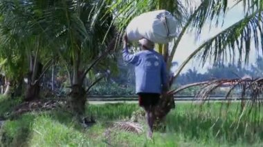 Çıplak ayakla Bali yürüyen adam