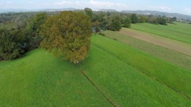 Bir çim alan nehirde yakınındaki tek ağaç