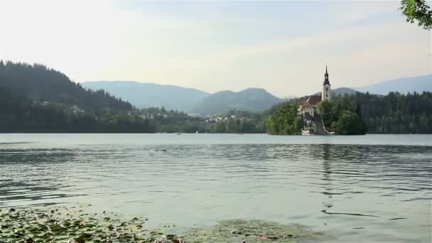 Krajina pohled církve Bled — Stock video