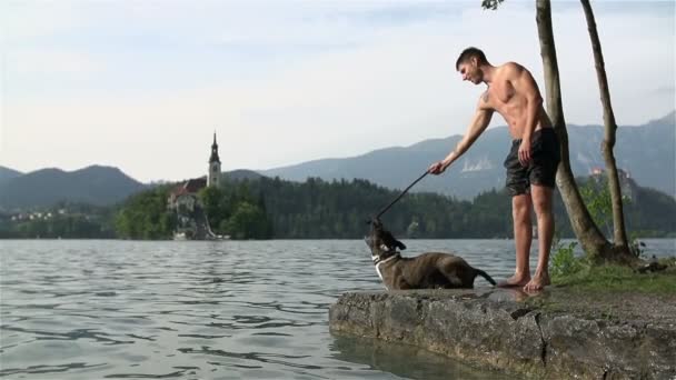 Dog with his owner plays on lake — Stock Video
