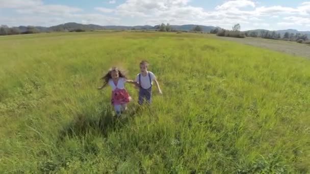Kinder halten sich an den Händen und rennen in die Kamera — Stockvideo