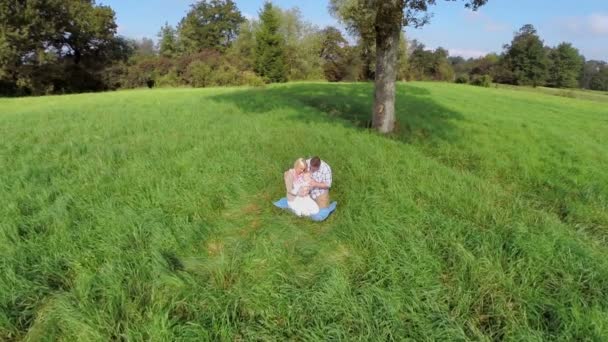 Familia bajo un solo árbol en un campo de hierba — Vídeos de Stock