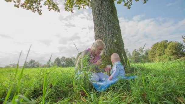 Mother feeding newborn child — Stock Video