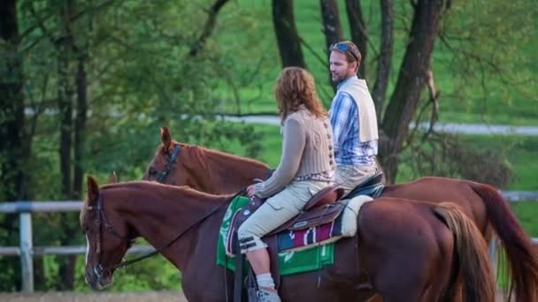 Pareja sentada en caballos y admirando la naturaleza — Vídeos de Stock