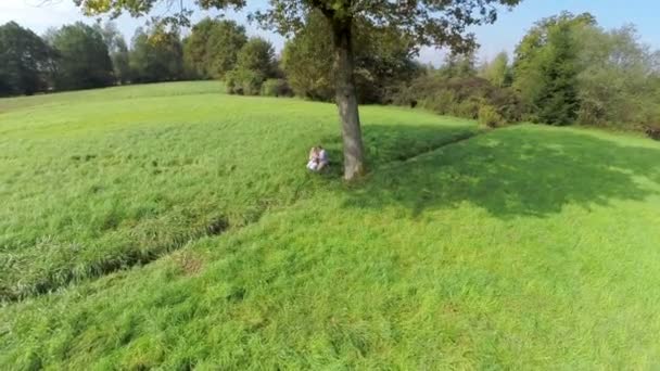 Baum auf dem Feld und Familie mit Kind unter — Stockvideo