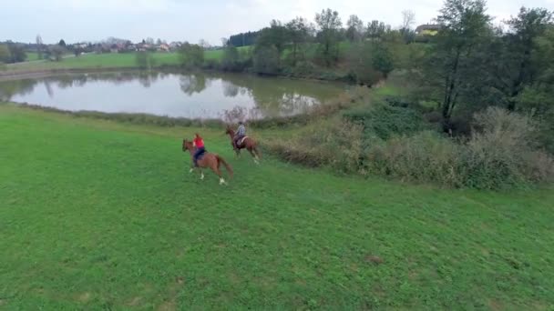 Un par de caballos galopando por el campo — Vídeo de stock