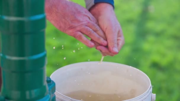 Man rengöra sina händer i korgen full av vatten — Stockvideo