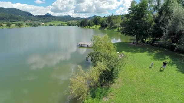 Узбережжя з Бушем на озері Velenje в Словенії — стокове відео