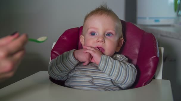 小可爱儿童用勺子喂 — 图库视频影像