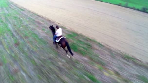 Чоловік верхи на коні швидко втомлюється на полі — стокове відео