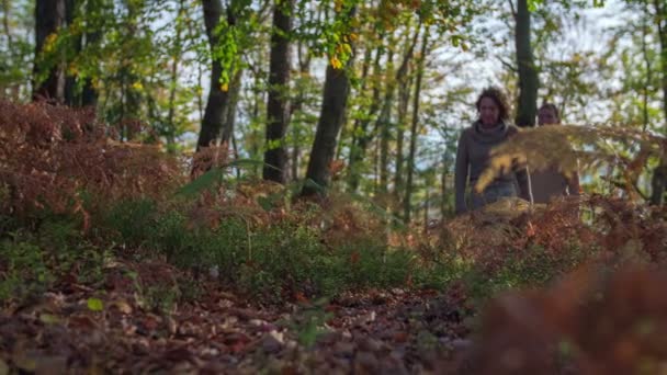 Coppia che cammina nella foresta in autunno — Video Stock