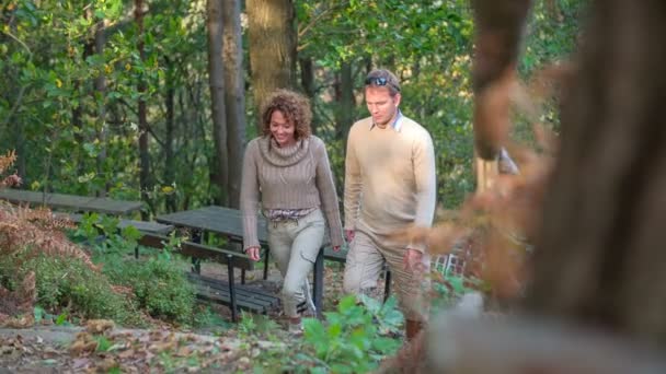 Mooie paar wandelingen verleden een bankje in het bos — Stockvideo