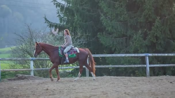 Красивая женщина верхом на лошади — стоковое видео