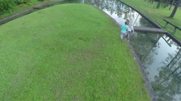 Survoler un petit étang avec une île verte 