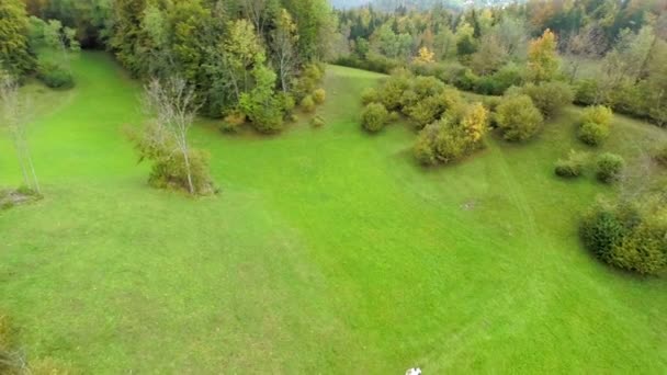 Pousse aérienne de champ d'herbe et couple de personnes âgées — Video