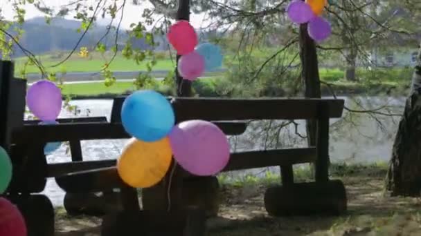 Ballonger i skogen väntar på en fest — Stockvideo