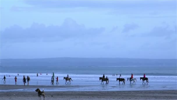 Strand en zee terwijl mensen paardrijden paarden — Stockvideo