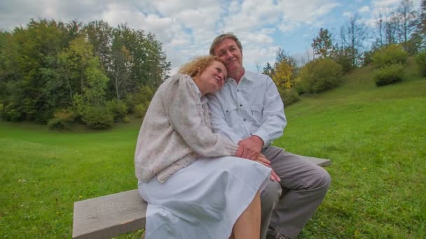 Bejaarde echtpaar genieten van het prachtige landschap — Stockvideo