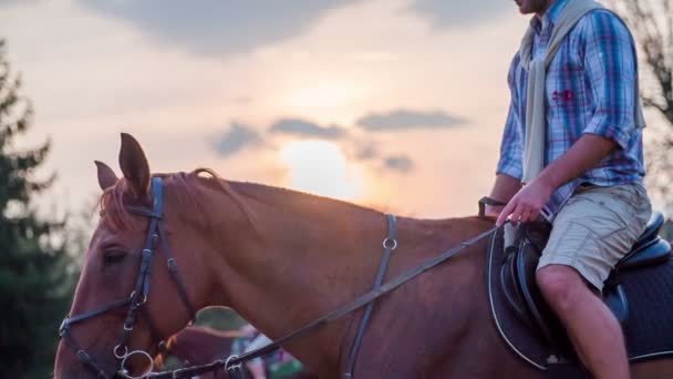 Passeios a cavalo ao pôr-do-sol — Vídeo de Stock