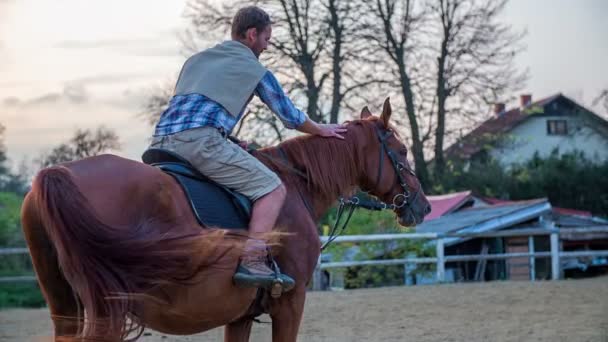 Man pet the horse in the middle of a riding — Stock Video