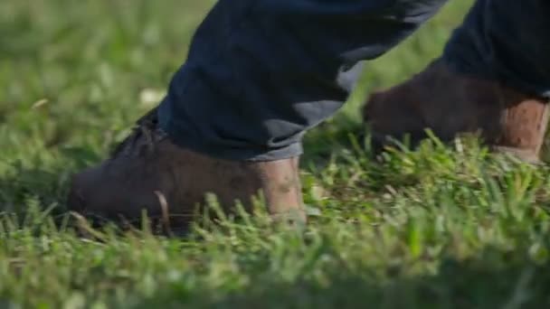 Konkurrenten gleiten über die Wiese — Stockvideo