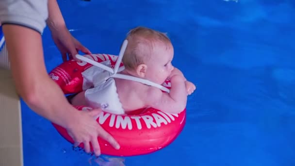 Bebé siendo puesto en la piscina — Vídeo de stock