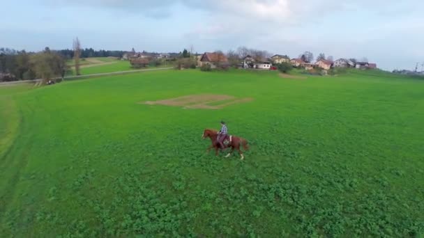 Чоловік їде на коні через поле — стокове відео