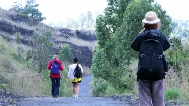 Turist fotograferar landskap och gå framåt — Stockvideo