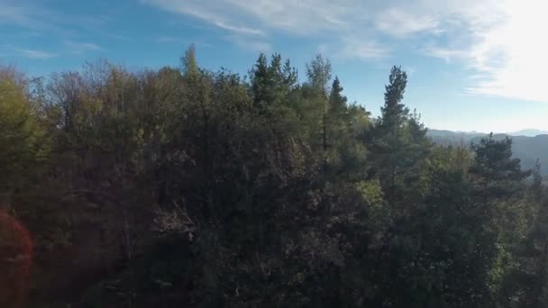 Tornet på toppen av kullen i skogen — Stockvideo