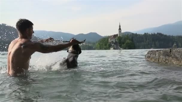 湖で遊ぶ彼の所有者と犬 — ストック動画