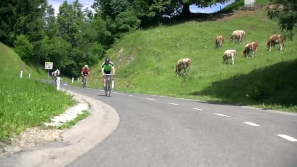 Cyklisté v soutěžích ve Slovinsku — Stock video