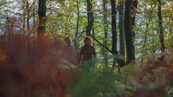 Belo casal em uma caminhada pela floresta — Vídeo de Stock